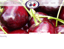 Tablet Screenshot of palirna.com